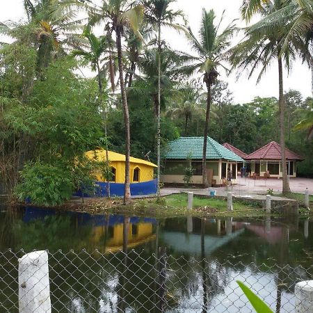 Coorg Anekad Jungle Stay Kushālnagar Εξωτερικό φωτογραφία