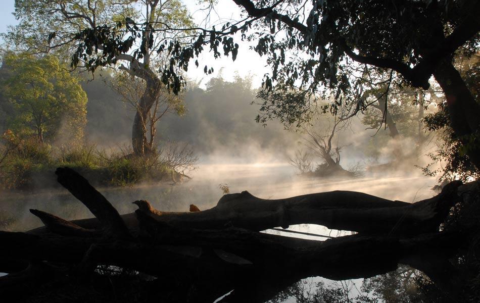 Coorg Anekad Jungle Stay Kushālnagar Εξωτερικό φωτογραφία