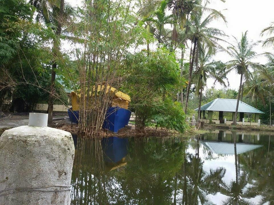 Coorg Anekad Jungle Stay Kushālnagar Εξωτερικό φωτογραφία